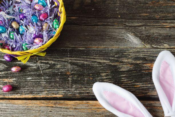 Bunny sneaking up towards bowl of Easter candy