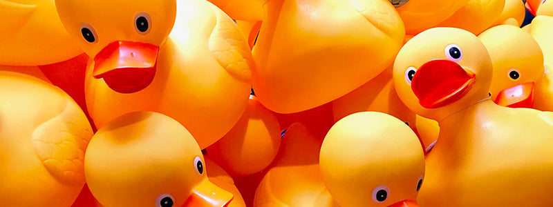 Ducks