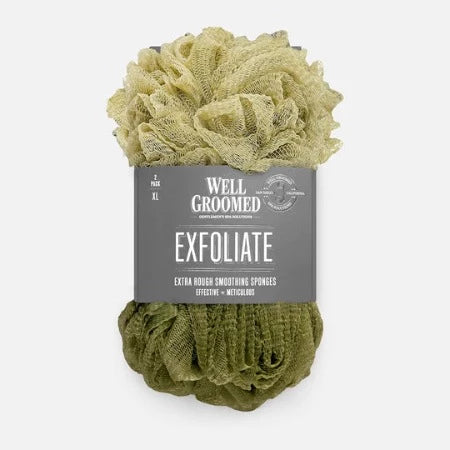 Well Groomed Extra Rough Smoothing Sponges - Two Pack 