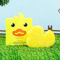 Sponge Animal