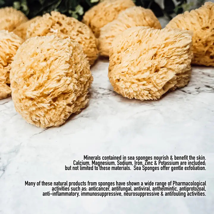 Gia Roma Dead Sea Sponge