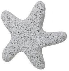 Kingsley Starfish Shaped Pumice 