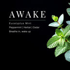 Yuzu Eucalyptus Mint Hand Cream