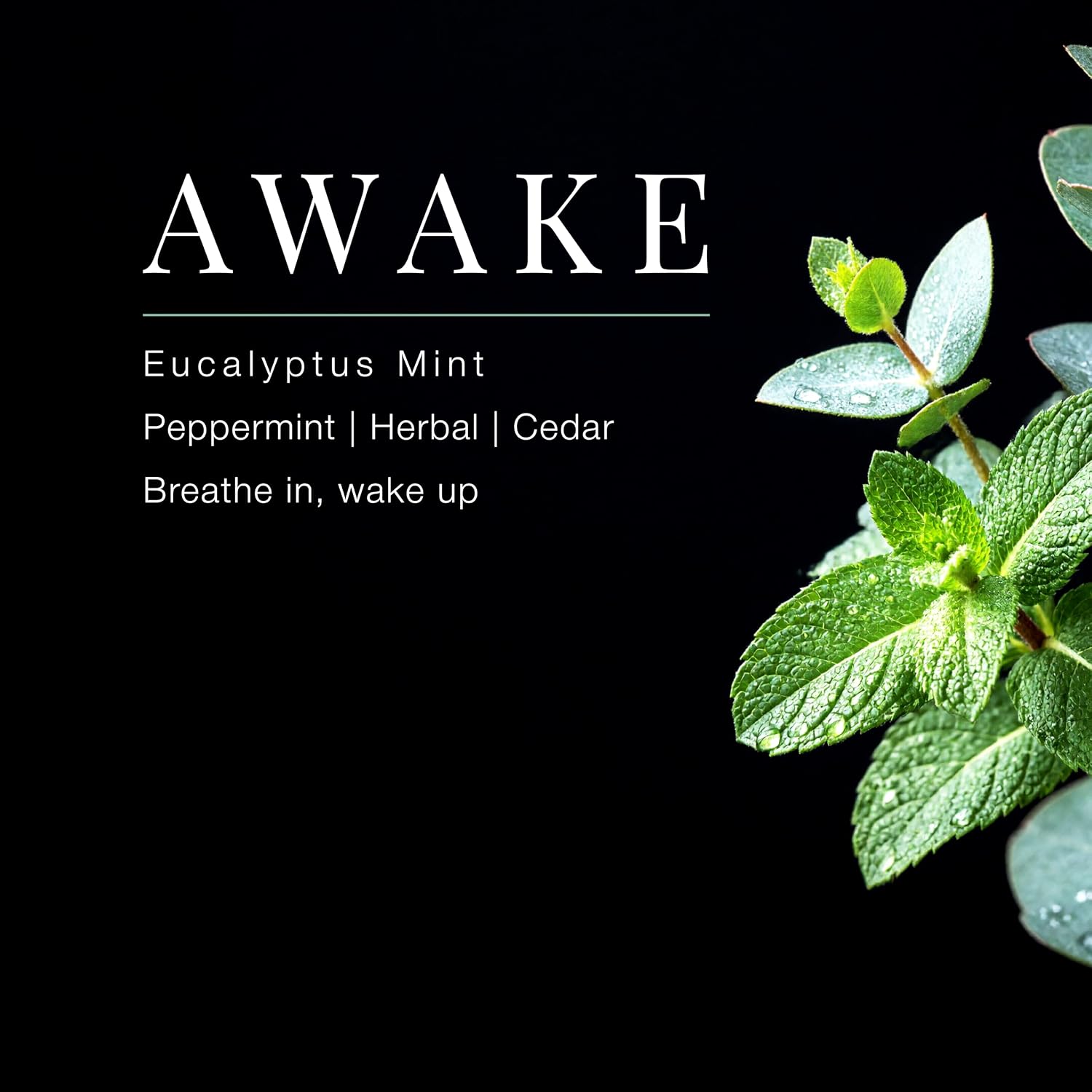 Yuzu Eucalyptus Mint Hand Cream