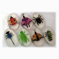 Bugs In Your Soap - Glycerin Soap