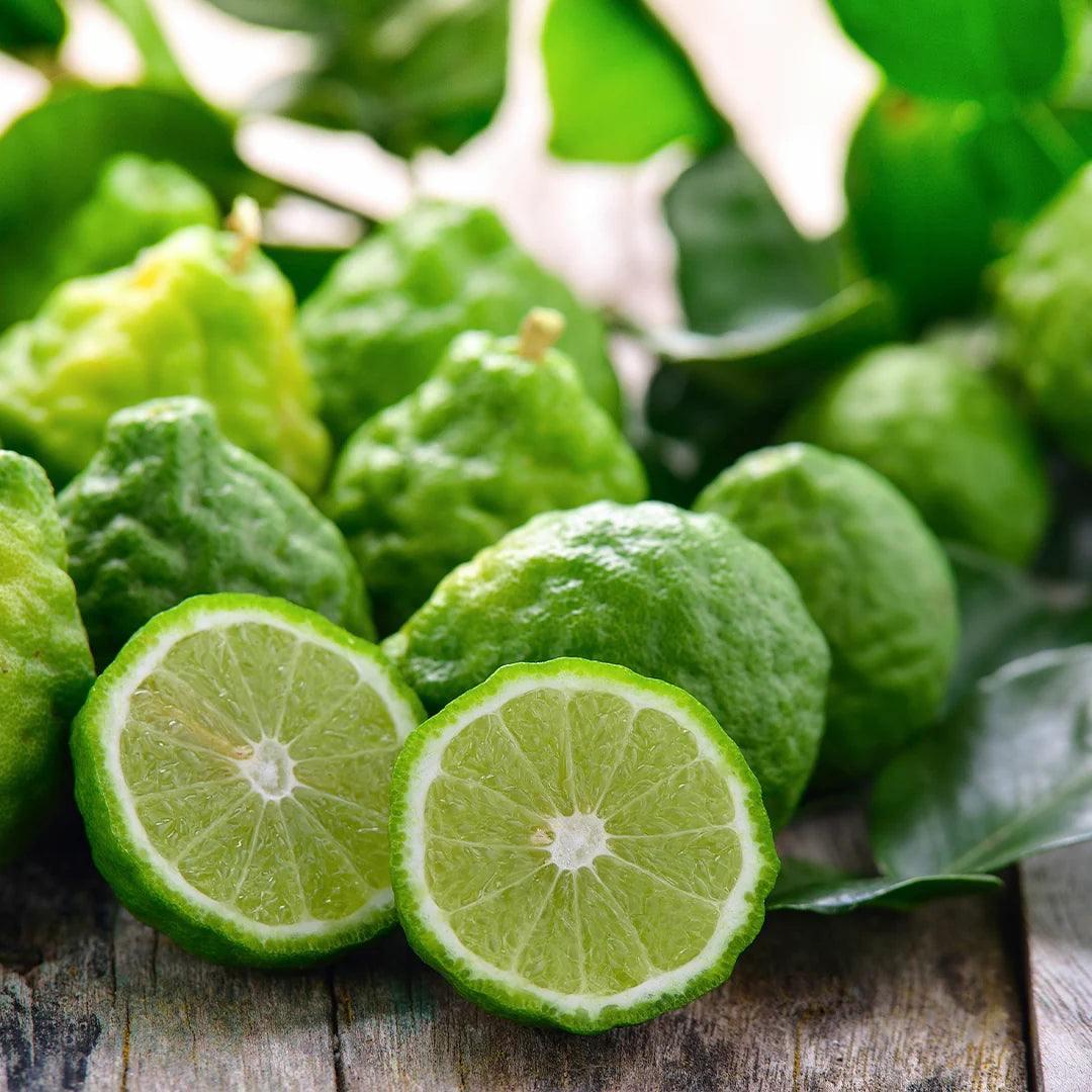 Archipelago Bergamot/Eucalyptus Body Wash 17 oz.