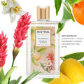 Mistral Women's Palombaggia Shower Gel