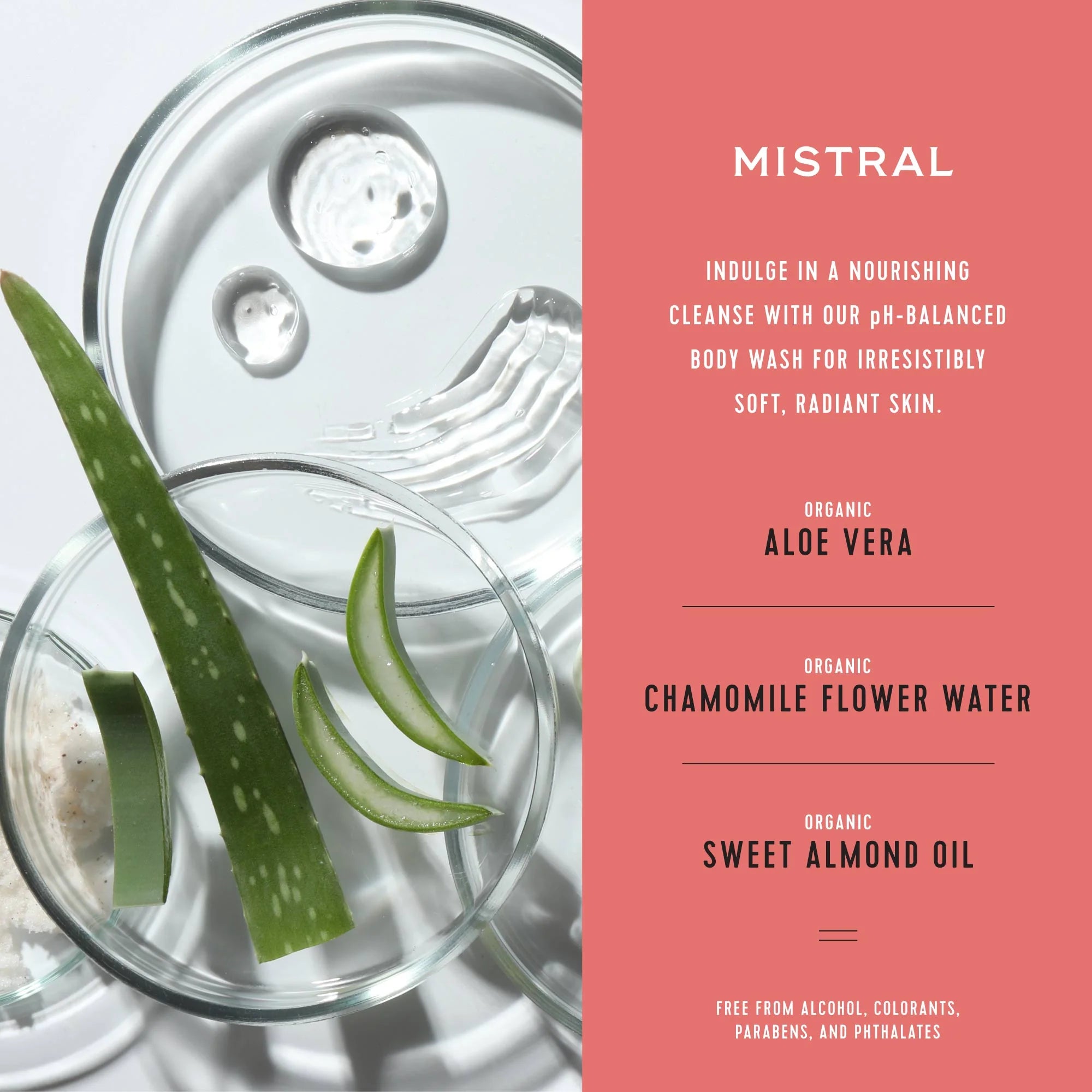 Mistral Women's Palombaggia Shower Gel