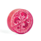 Heartland Fragrance Exfoliating Loofah Bars 