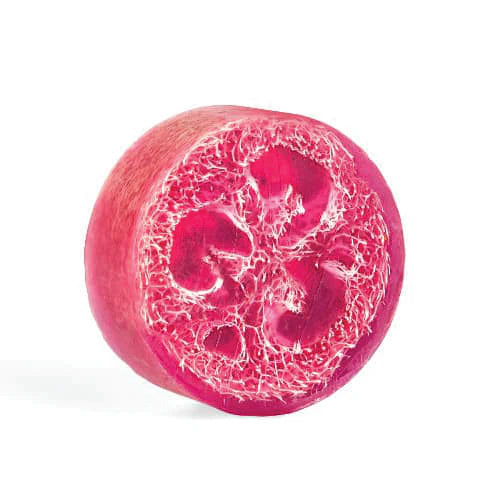 Heartland Fragrance Exfoliating Loofah Bars 