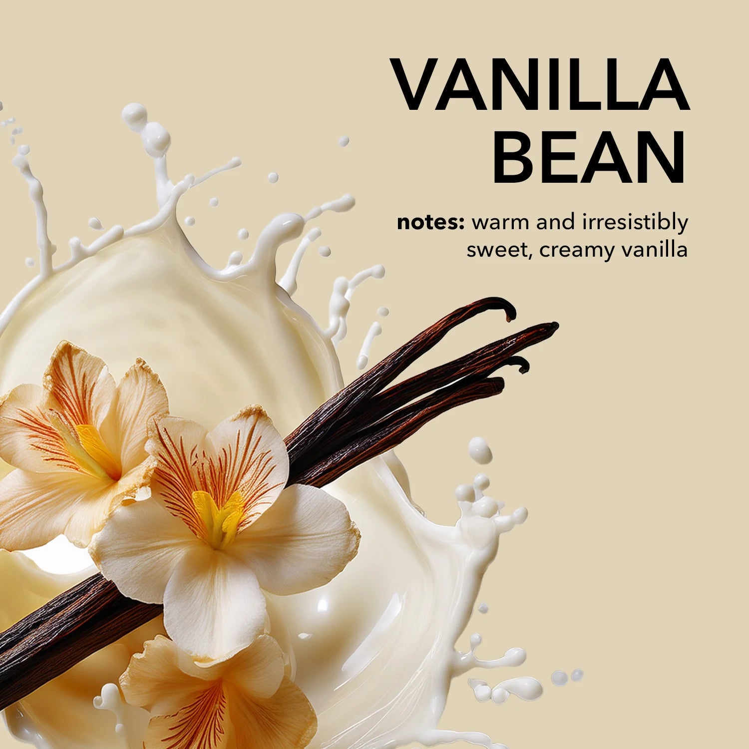 Dionis Vanilla Bean Lotion 2 oz
