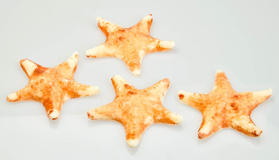 Starfish Handmade All-Natural Bar Soap