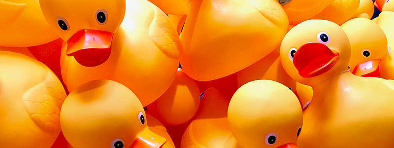 Closeup of a pile of yellow rubber ducks