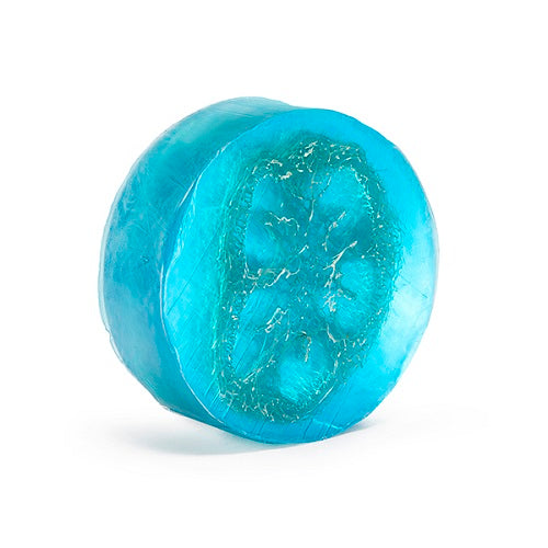 Heartland Fragrance -  Loofah Glycerin Soaps (5oz) - The Soap Opera Company